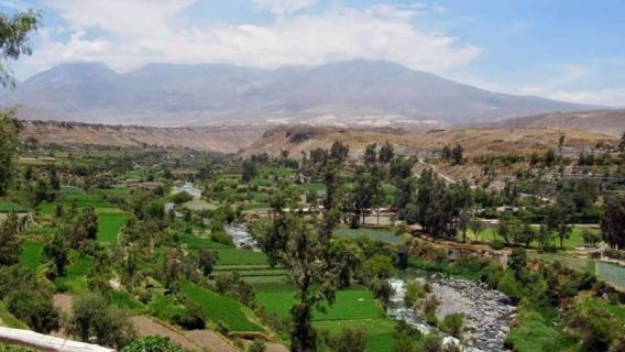 Arequipa: Half Day Panoramic City Tour