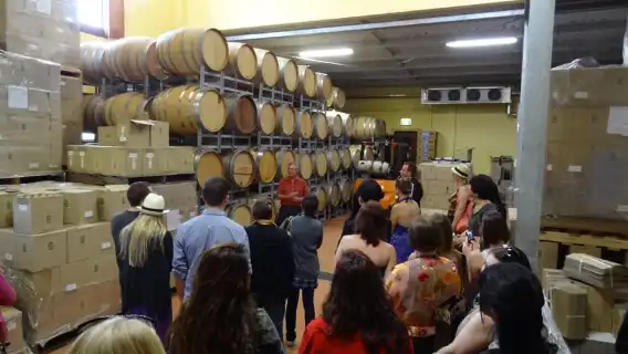 從雪梨出發：屢獲殊榮的獵人谷葡萄酒和起司之旅