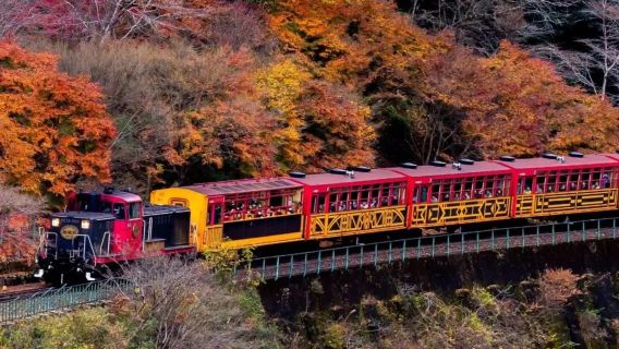 KyotoExcursions d'une journée