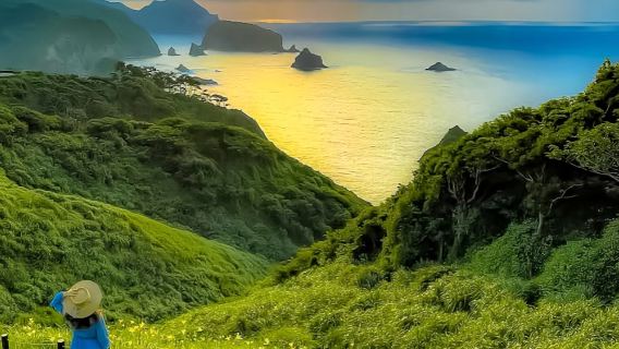 伊豆一日奇遇・4-9人小團・東京接送+贈觀海列車