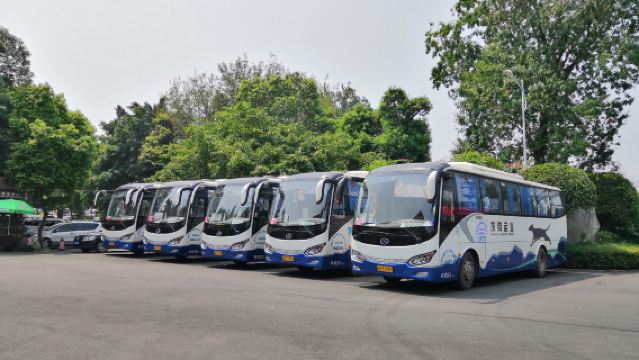 Chengdu to Bipenggou Attraction (Luxury Air-Conditioned Bus) One-Way Shuttle Bus