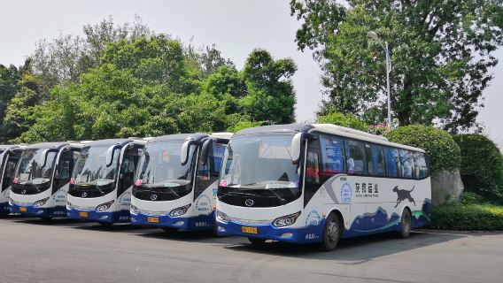Serviço de compartilhamento de veículo partindo de Chengdu para Siguniangshan (ônibus de luxo com ar-condicionado)