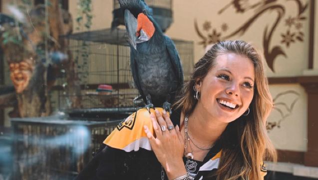 峇里島Hidden Canyon迷你動物園+黑沙灘一日遊