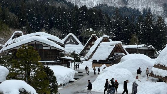 飛彈高地+白川鄉一日遊【品飛驒牛肉丨賞童話小屋丨中文包車】