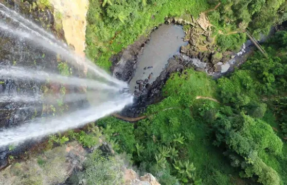 澳洲春溪國家公園+自然橋+潺流溪瀑布一日遊【含市區接送】