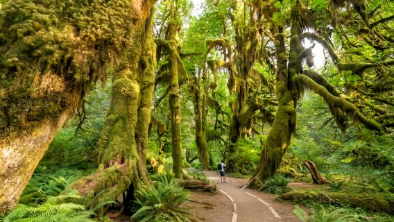 Seattle | Hurricane Ridge | Crescent Lake | Olympic National Park | Ferry to and from Bainbridge Island