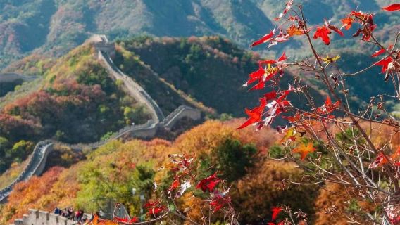 Mutianyu Great Wall Day Tour (Complimentary Hotel Pickup/Private Group Pickup)