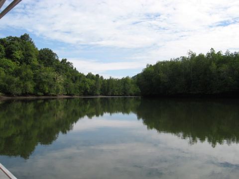 蘭卡威紅樹林遊船和浮潛之旅-Langkawi Mangrove Cruise and Snorkeling