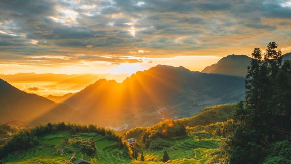 雲和梯田景區+古堰畫鄉旅遊度假區一日遊【包車遊】