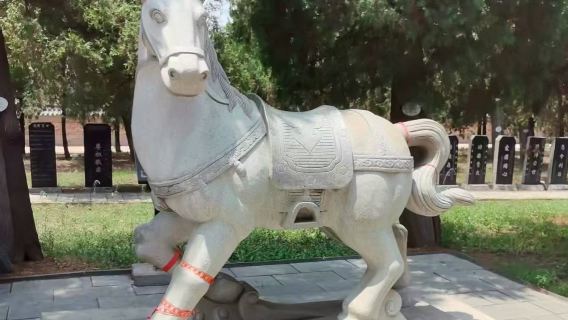 新鄉市區包車來回｜比干廟-比干墓一日包車遊（多車型可選）