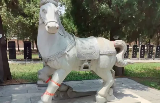 新鄉市區包車來回｜比幹廟-比幹墓一日包車遊（多車型可選）