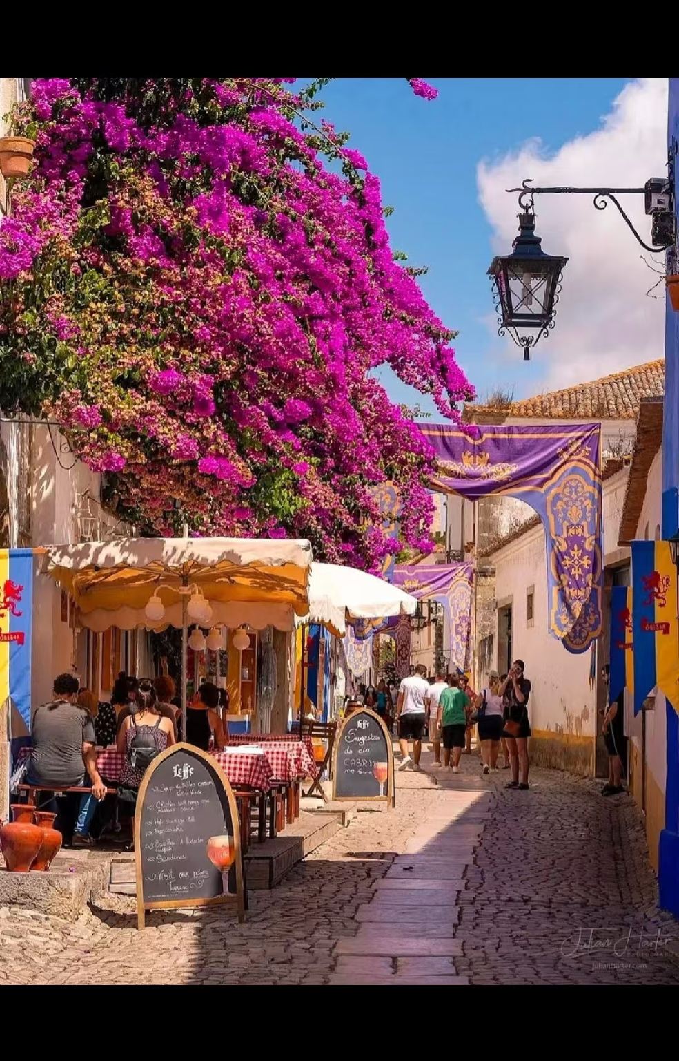 Portugal Lisbon + Obidos + Carmo Church + Nazare 1-day tour / Flexible itinerary