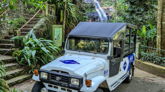 Parco nazionale di Tijuca: avventura guidata in jeep da Rio de Janeiro