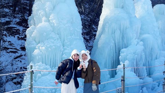 Seoul departure: 1-day tour to Cheongyang Alps Village Snow Festival & strawberry picking