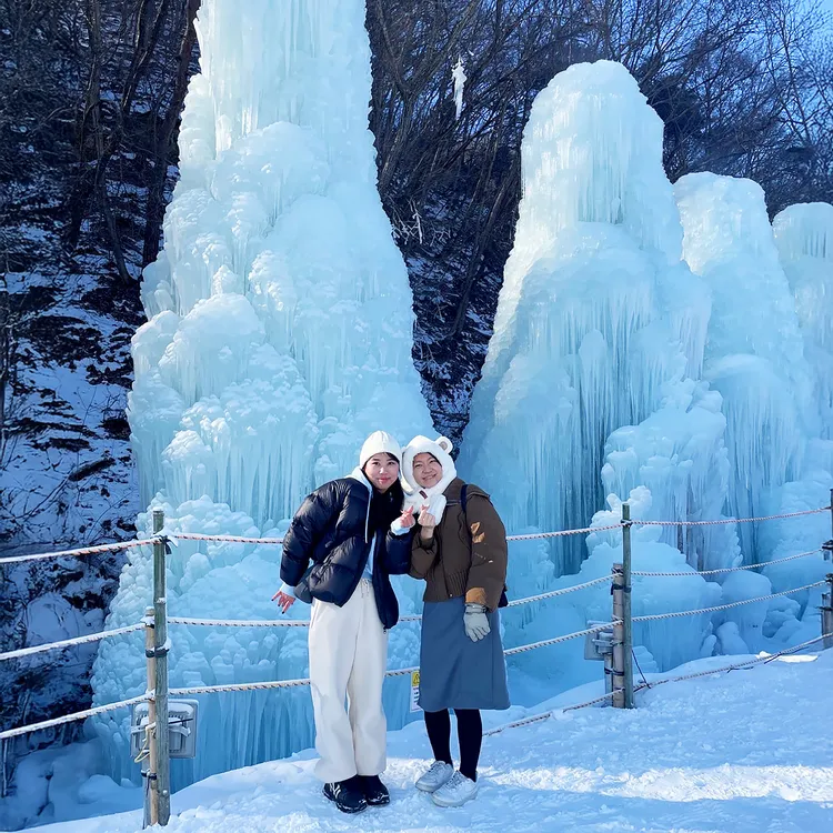 ソウル発：チョンヤンアルプス村雪祭りワンデーツアー | Trip.com