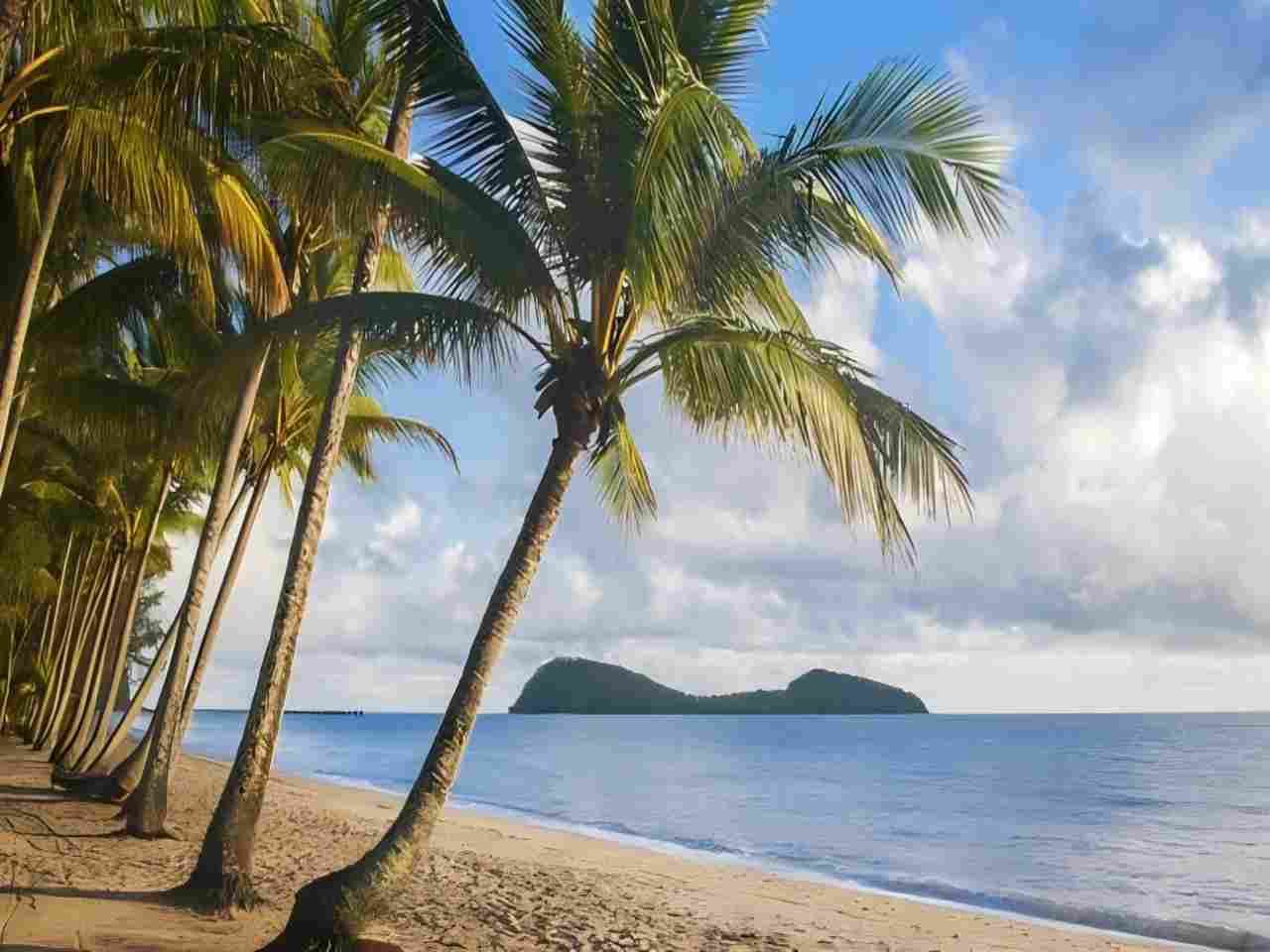 【中文團】開恩茲道格拉斯港一日遊(開恩茲一日遊)