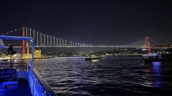 Istanbul: Bosphorus Cruise By Night