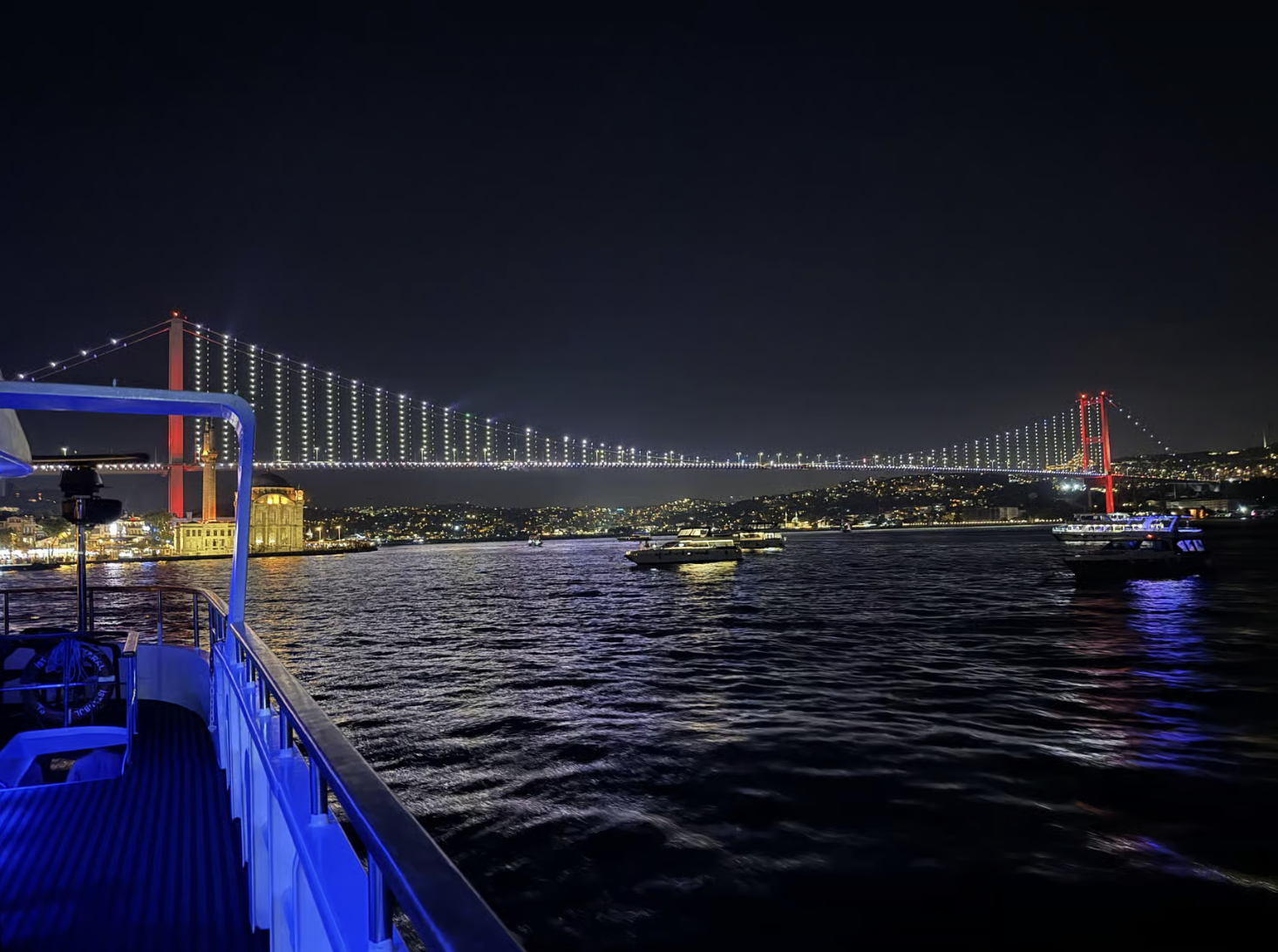 Istanbul: Bosphorus Cruise By Night