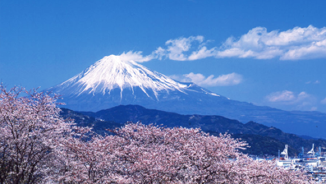 Temporada de cerezos en flor - Excursión de un día para 9 personas con vistas panorámicas al Monte Fuji en Japón | Traslado opcional desde/hasta el hotel + servicio en chino/inglés