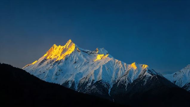 Nyingchi Lulang & Namcha Barwa 1-Day Tour | Marvel at China's Snow Mountains · Admire the Swiss-like Forest of the East