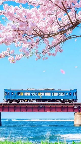 [Includes train and optional boat] Kyoto Tango Maritime Train + Amanohashidate + Ine Funaya Day Trip