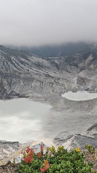 1-day tour from Jakarta to White Crater and Tangkuban Parahu Volcano