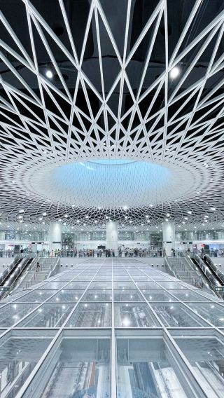 Shenzhen: Landmark and Technology Discovery Tour
