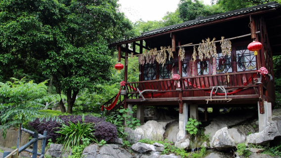 Guilin full-day private car tour: Liu Sanjie Grand View Garden & Osmanthus Commune | Door-to-Door Pickup, Entry Tickets Included