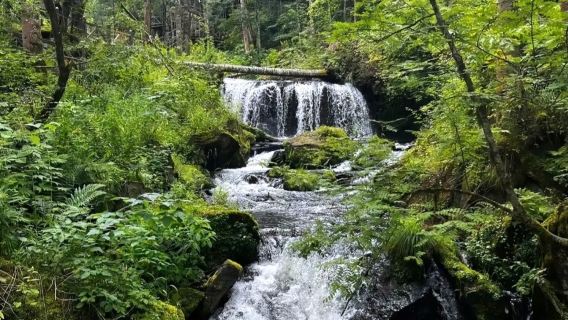 [Promosi Awal Bulan] Lawatan Sehari Tarikan Pelancongan Lereng Utara Gunung Changbai & Tasik Tianchi, Pergi-Balik dari Yanji
