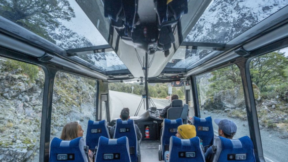 RealNZ Milford Sound cruise sightseeing tour · Depart from Queenstown/Te Anau/self-drive · Panoramic bus · Fjord cruise · Optional lunch add-on