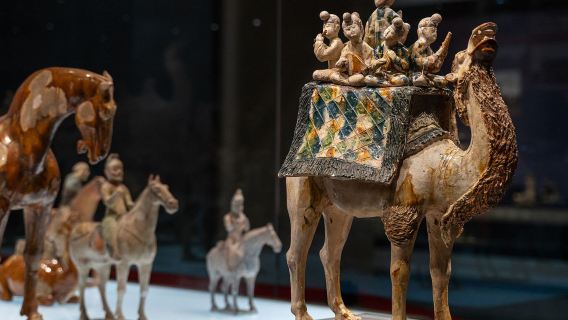Privattour | Private Führung | Tagesausflug zum Mausoleum Qin Shihuangdis + Lishan-Garten + Historisches Museum Shaanxi