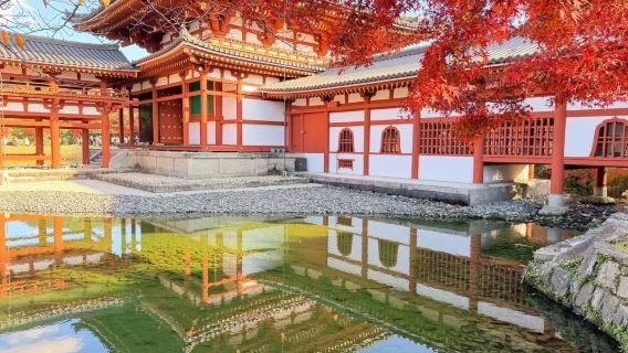 Jepun [Osaka * Kyoto * Nara * Uji - Sewaan Peribadi Tersuai Berbahasa Cina] Pemandu Pelancong / Pemandu Tempatan / Penerangan Berpandu