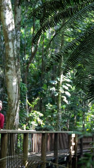 Cairns Daintree Rainforest + Mossman Gorge Cultural Centre + Cape Tribulation 1-day tour [Classic tour | Lunch and morning tea included]