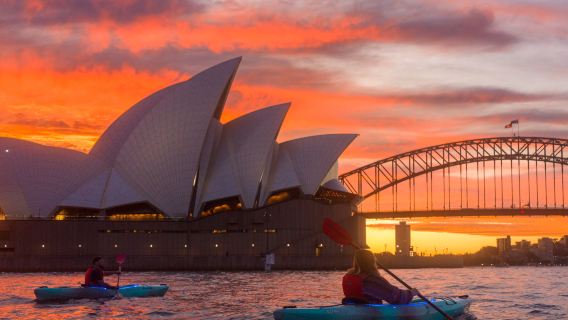 Kayak a Sydney per ammirare l'alba/il tramonto - Sydney Kayaking