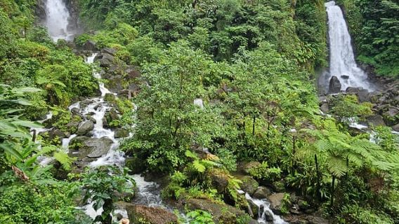 Dominica: Titou Gorge, Trafalgar Falls, & Mero Beach Tour