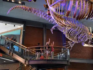 9:00 am Timed-Entry Visit to New Bedford Whaling Museum
