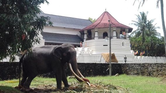 Colombo