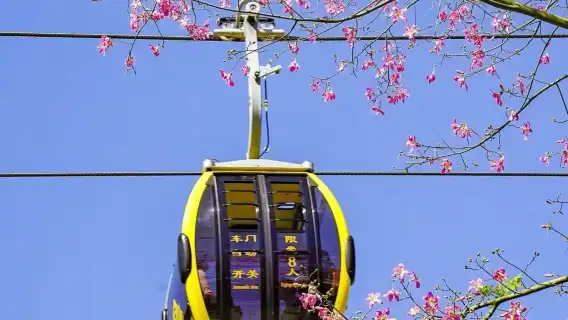 廣州博物館+陳家祠+白雲山+永慶坊一日遊【私家小團上門接送】