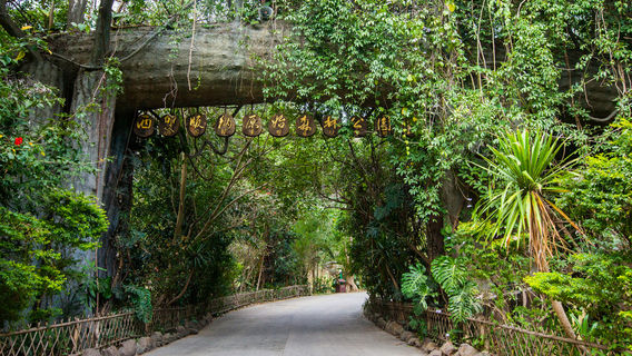 JinghongTours