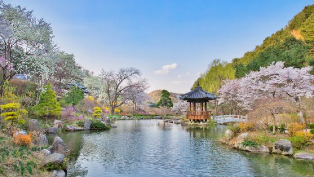 한국 서울 남이섬 + 아침고요수목원 1일 투어 (서울 출발 전용차량 픽업)