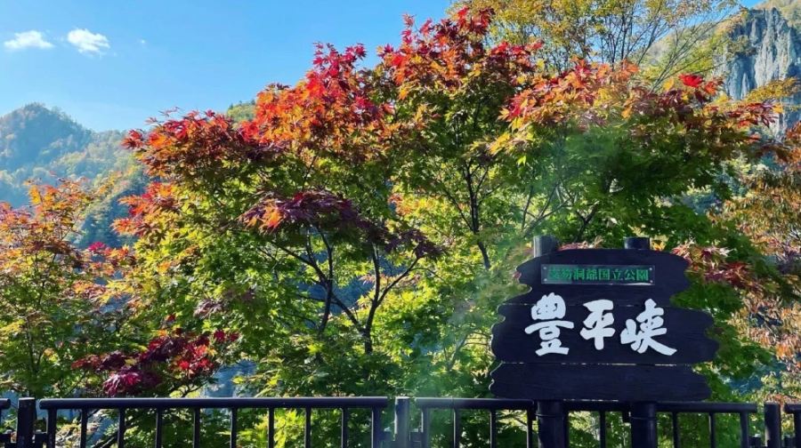 北海道豐平峽水庫+定山溪+洞爺湖+羊蹄山公園一日遊-札幌出發