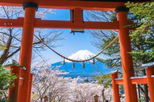 日本東京富士山+御殿場奧特萊斯一日遊