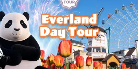 韓國龍仁市愛寶樂園一日遊【含樂園門票 + 首爾多地來回】