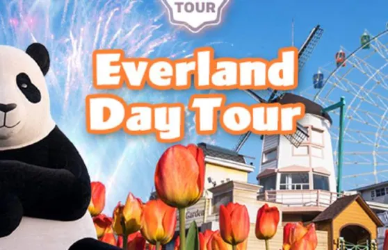 韓國龍仁市愛寶樂園一日遊【含樂園門票 + 首爾多地來回】