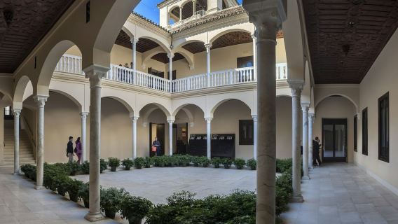 Museo Picasso Málaga: Entry + Audio Guide