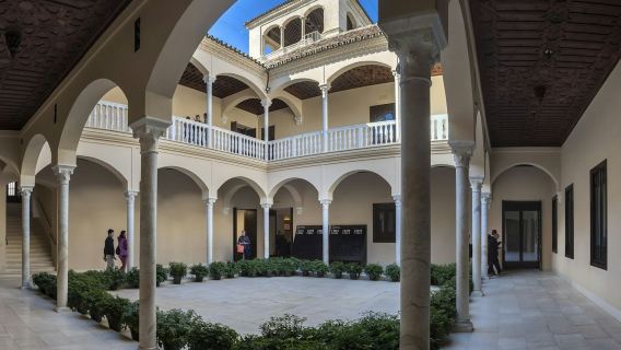 Museo Picasso Málaga: Entry + Audio Guide