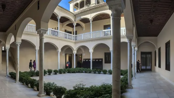 피카소 미술관 말라가( Museo Picasso Málaga): 입장권 + 오디오 가이드