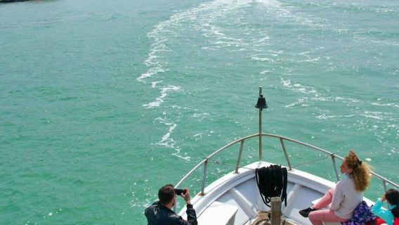 Murano, Burano & Torcello: Tur Perahu dari Stasiun Kereta + Demonstrasi Pembuatan Kaca