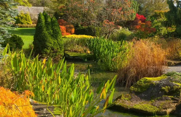 皇家園藝學會Harlow Carr花園：入場門票成人