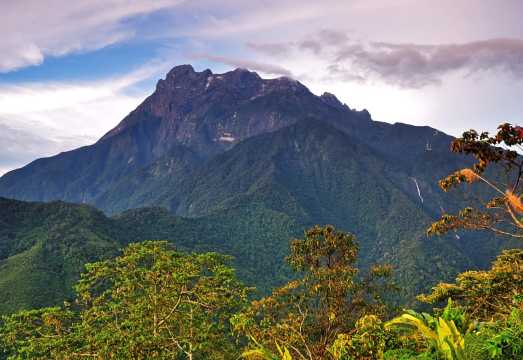 Desa Dairy Farm + Poring Hot Spring + Mount Kinabalu Observation Desk [Lunch included]